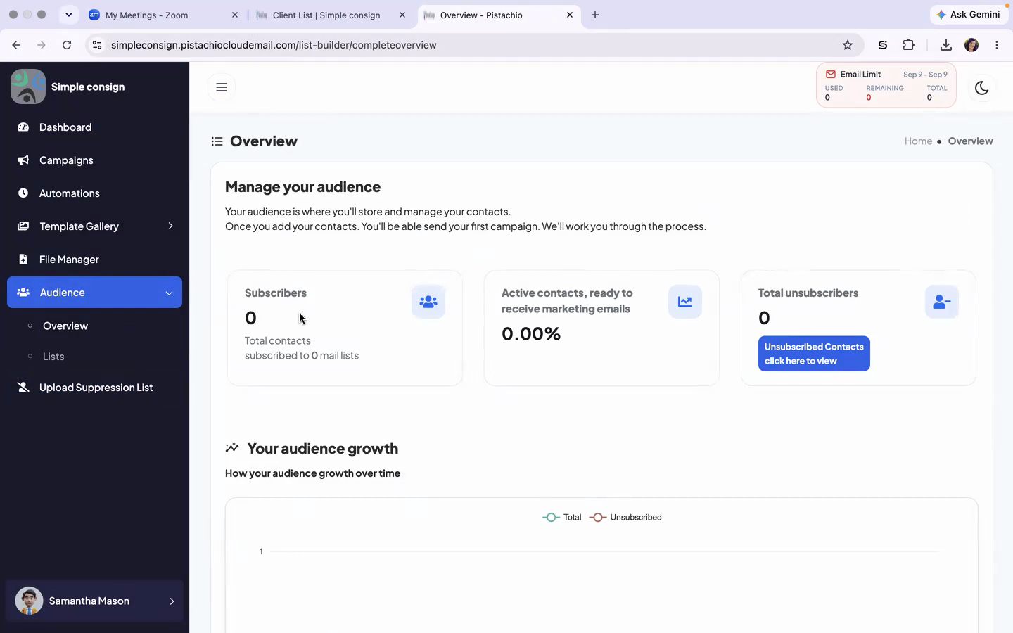 02_audience_overview.png